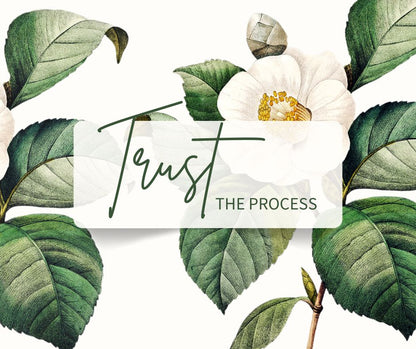 Clayton NSW Merino (100% Non Superwash Merino)